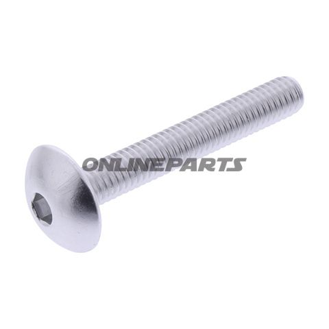 Dome Head Bolt Proboltm6x1.00Mm 40Mm Alu Silver