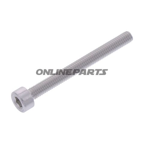 Hex Socket Cap Screw Proboltm3x0.5Mm 30Mm Alu Silver