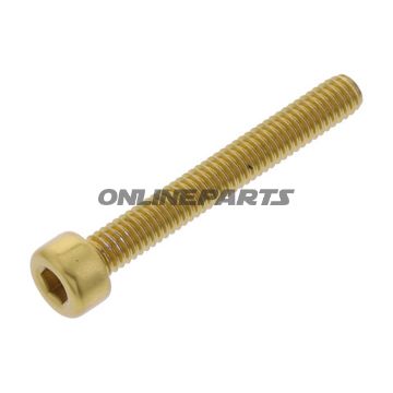 Hex Socket Cap Screw Proboltm4x0.7Mm 30Mm Alu Gold