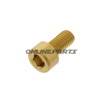Hex Socket Cap Screw Proboltm5x0.8Mm 10Mm Alu Gold
