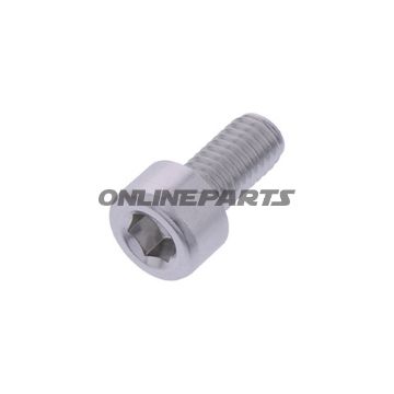 Hex Socket Cap Screw Proboltm5x0.8Mm 10Mm Alu Silver