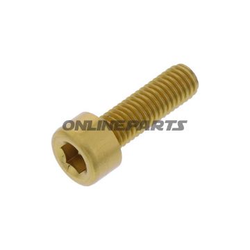 Hex Socket Cap Screw Proboltm5x0.8Mm 16Mm Alu Gold
