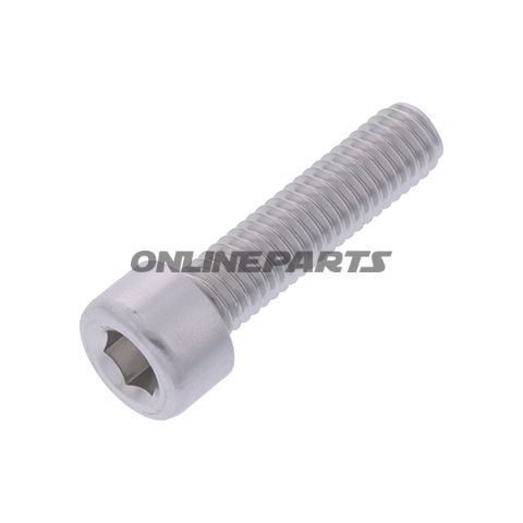 Hex Socket Cap Screw Proboltm5x0.8Mm 20Mm Alu Silver