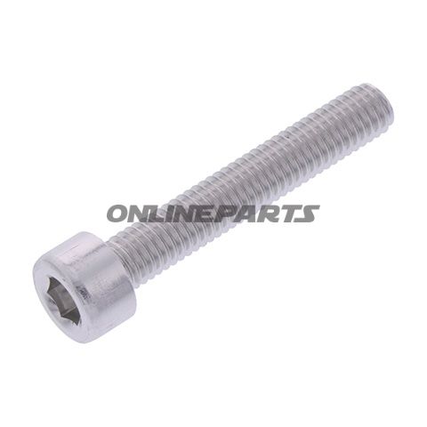 Hex Socket Cap Screw Proboltm5x0.8Mm 30Mm Alu Silver