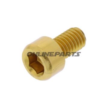 Hex Socket Cap Screw Proboltm6x1.00Mm 10Mm Alu Gold