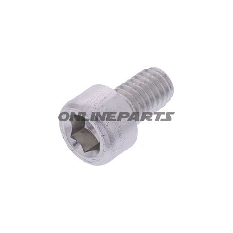 Hex Socket Cap Screw Proboltm6x1.00Mm 10Mm Alu Silver
