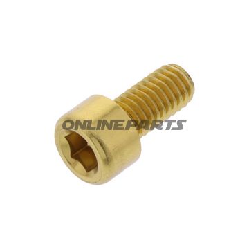 Hex Socket Cap Screw Proboltm6x1.00Mm 12Mm Alu Gold