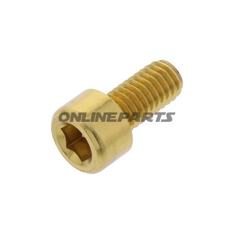 Hex Socket Cap Screw Proboltm6x1.00Mm 12Mm Alu Gold