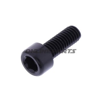 Hex Socket Cap Screw Proboltm6x1.00Mm 16Mm Alu Black