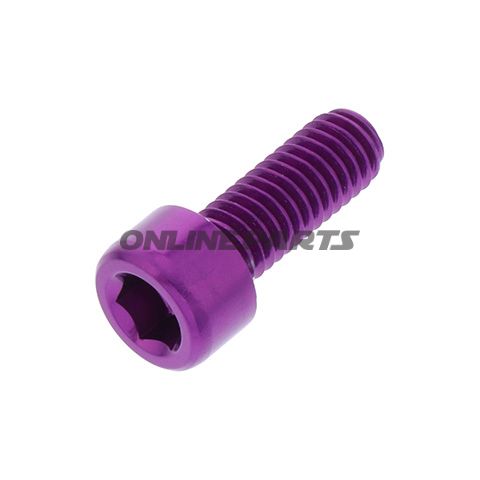 Hex Socket Cap Screw Proboltm6x1.00Mm 16Mm Alu Purple