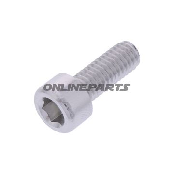 Hex Socket Cap Screw Proboltm6x1.00Mm 16Mm Alu Silver