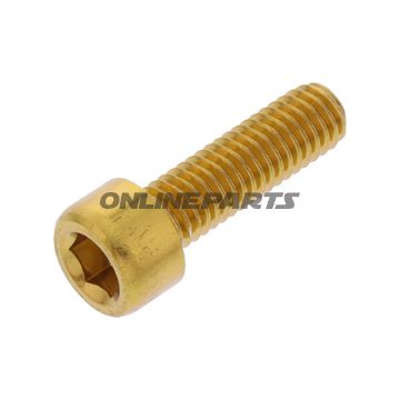 Hex Socket Cap Screw Proboltm6x1.00Mm 20Mm Alu Gold