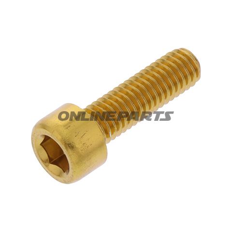 Hex Socket Cap Screw Proboltm6x1.00Mm 20Mm Alu Gold