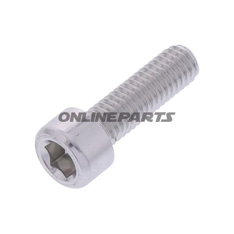 Hex Socket Cap Screw Proboltm6x1.00Mm 20Mm Alu Silver