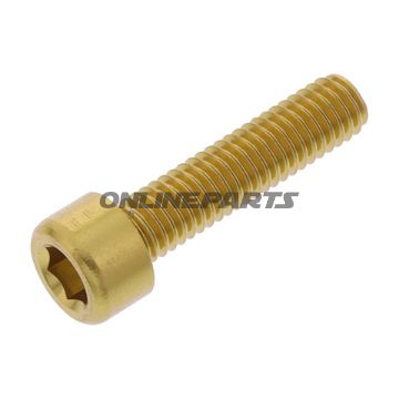 Hex Socket Cap Screw Proboltm6x1.00Mm 25Mm Alu Gold