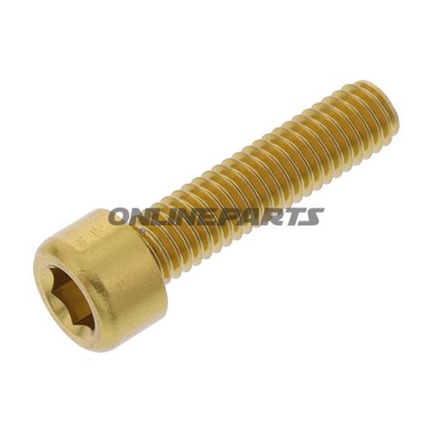Hex Socket Cap Screw Proboltm6x1.00Mm 25Mm Alu Gold