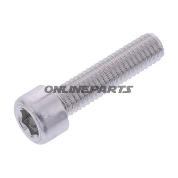 Hex Socket Cap Screw Proboltm6x1.00Mm 25Mm Alu Silver