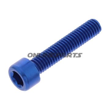Hex Socket Cap Screw Proboltm6x1.00Mm 30Mm Alu Blue