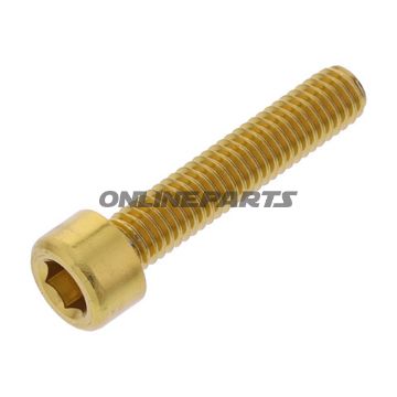 Hex Socket Cap Screw Proboltm6x1.00Mm 30Mm Alu Gold