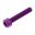 Hex Socket Cap Screw Proboltm6x1.00Mm 30Mm Alu Purple
