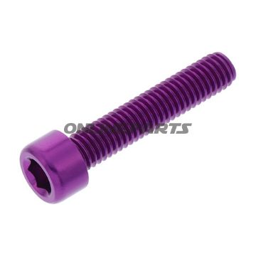 Hex Socket Cap Screw Proboltm6x1.00Mm 30Mm Alu Purple