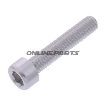 Hex Socket Cap Screw Proboltm6x1.00Mm 30Mm Alu Silver
