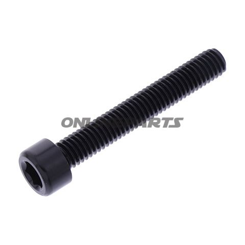 Hex Socket Cap Screw Proboltm6x1.00Mm 40Mm Alu Black