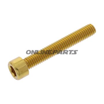 Hex Socket Cap Screw Proboltm6x1.00Mm 40Mm Alu Gold
