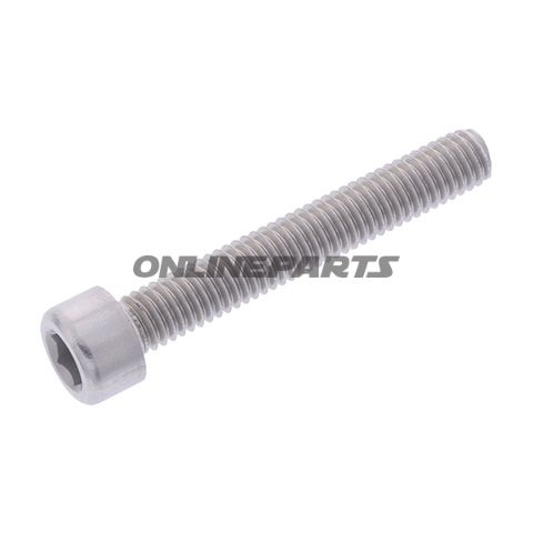 Hex Socket Cap Screw Proboltm6x1.00Mm 40Mm Alu Silver