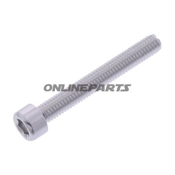 Hex Socket Cap Screw Proboltm6x1.00Mm 45Mm Alu Silver