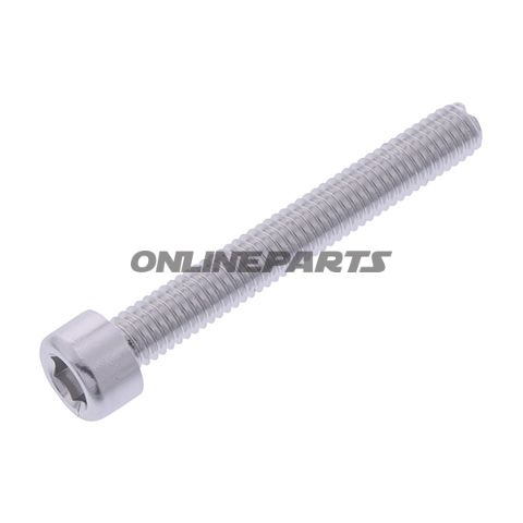 Hex Socket Cap Screw Proboltm6x1.00Mm 45Mm Alu Silver