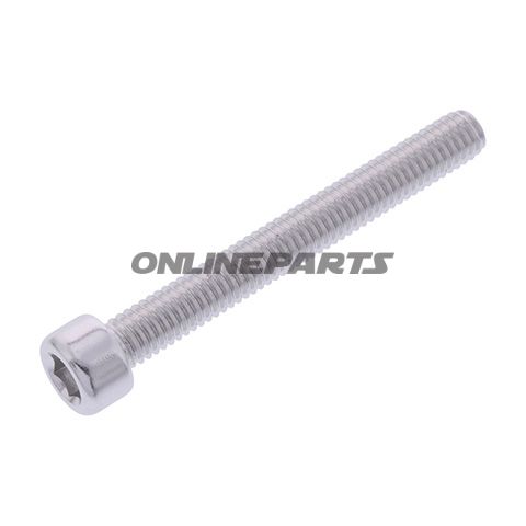 Hex Socket Cap Screw Proboltm6x1.00Mm 50Mm Alu Silver
