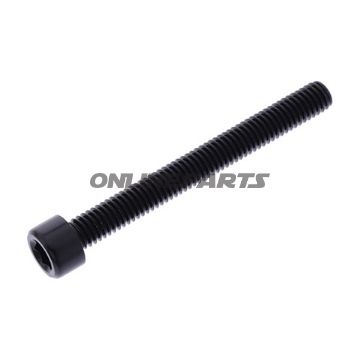 Hex Socket Cap Screw Proboltm6x1.00Mm 55Mm Alu Black