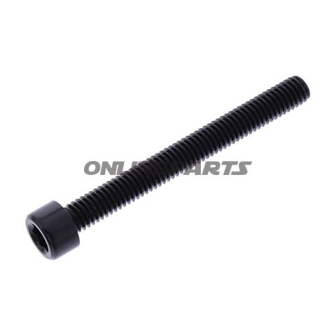 Hex Socket Cap Screw Proboltm6x1.00Mm 55Mm Alu Black