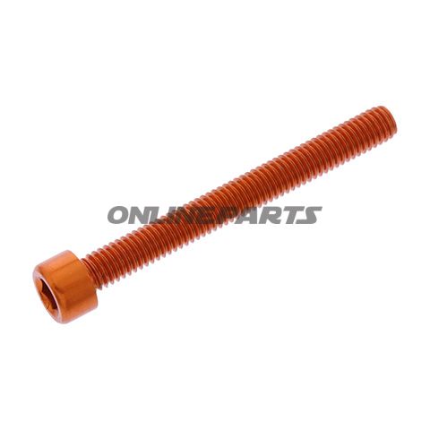 Hex Socket Cap Screw Proboltm6x1.00Mm 55Mm Alu Orange