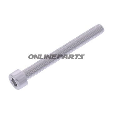 Hex Socket Cap Screw Proboltm6x1.00Mm 55Mm Alu Silver