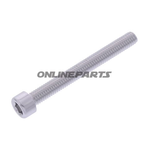 Hex Socket Cap Screw Proboltm6x1.00Mm 55Mm Alu Silver