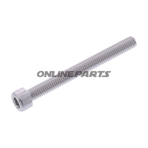 Hex Socket Cap Screw Proboltm6x1.00Mm 60Mm Alu Silver