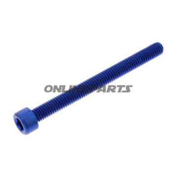 Hex Socket Cap Screw Proboltm6x1.00Mm 65Mm Alu Blue