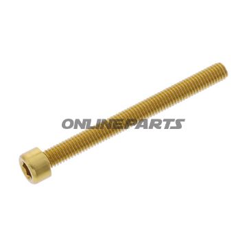 Hex Socket Cap Screw Proboltm6x1.00Mm 65Mm Alu Gold