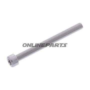 Hex Socket Cap Screw Proboltm6x1.00Mm 65Mm Alu Silver
