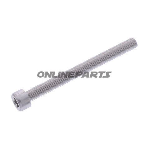 Hex Socket Cap Screw Proboltm6x1.00Mm 65Mm Alu Silver