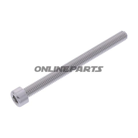 Hex Socket Cap Screw Proboltm6x1.00Mm 70Mm Alu Silver