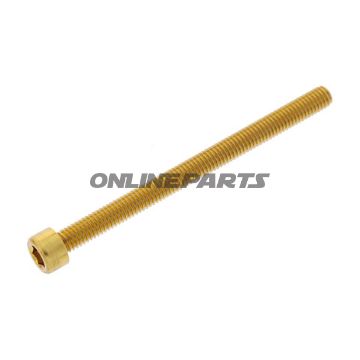 Hex Socket Cap Screw Proboltm6x1.00Mm 80Mm Alu Gold