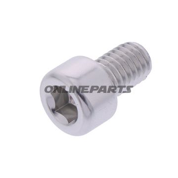 Hex Socket Cap Screw Proboltm8x1.25Mm 12Mm Alu Silver