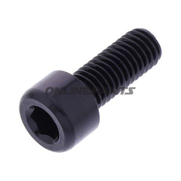 Hex Socket Cap Screw Proboltm8x1.25Mm 20Mm Alu Black