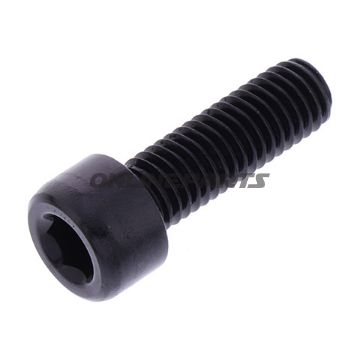Hex Socket Cap Screw Proboltm8x1.25Mm 25Mm Alu Black
