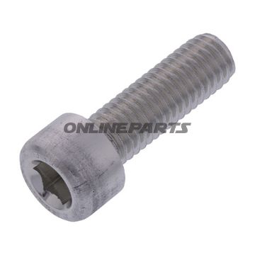 Hex Socket Cap Screw Proboltm8x1.25Mm 25Mm Alu Silver