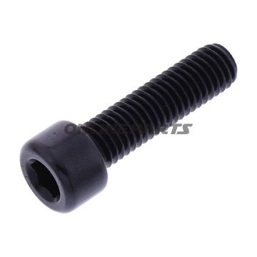 Hex Socket Cap Screw Proboltm8x1.25Mm 30Mm Alu Black