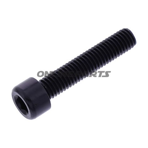 Hex Socket Cap Screw Proboltm8x1.25Mm 40Mm Alu Black